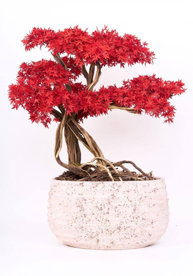 Doğal Gövdeli Yapay Bonsai Ağaç Saksılı 70 X 130 cm SA2239-002