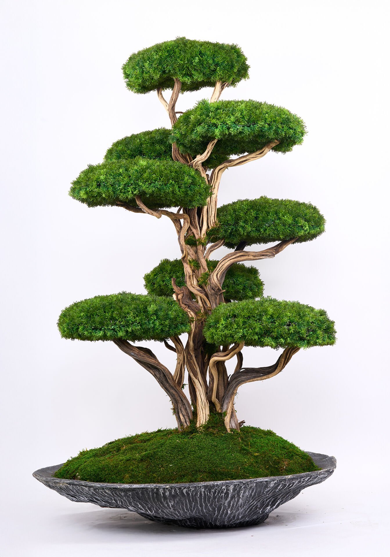 Doğal Gövdeli Yapay Bonsai Büyük Ağaç Saksılı 120 X 190 cm SA2251-001
