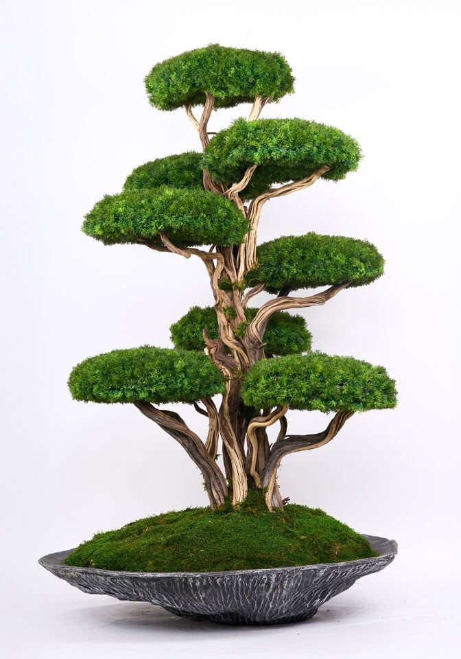 Doğal Gövdeli Yapay Bonsai Büyük Ağaç Saksılı 120 X 190 cm SA2251-001
