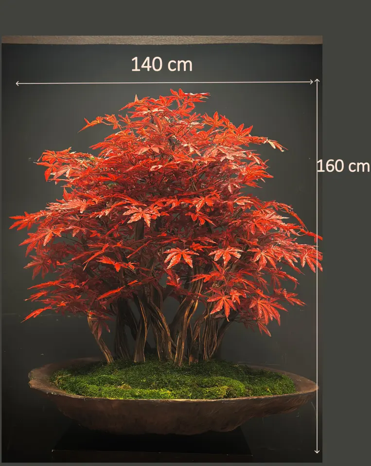 Doğal Gövdeli Yapay Bonsai Hazan Ağaç Saksılı 140 X 160 cm SA3043-007