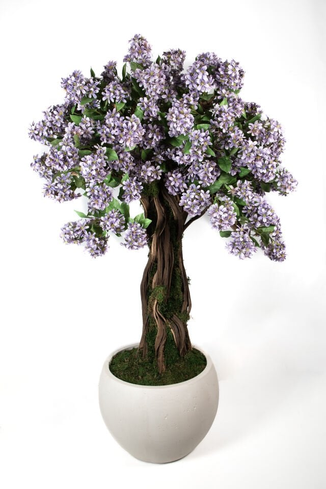 Doğal Gövdeli Yapay Bonsai Mor Dallı Ağaç Saksılı 95 X 150 cm SA3645-001