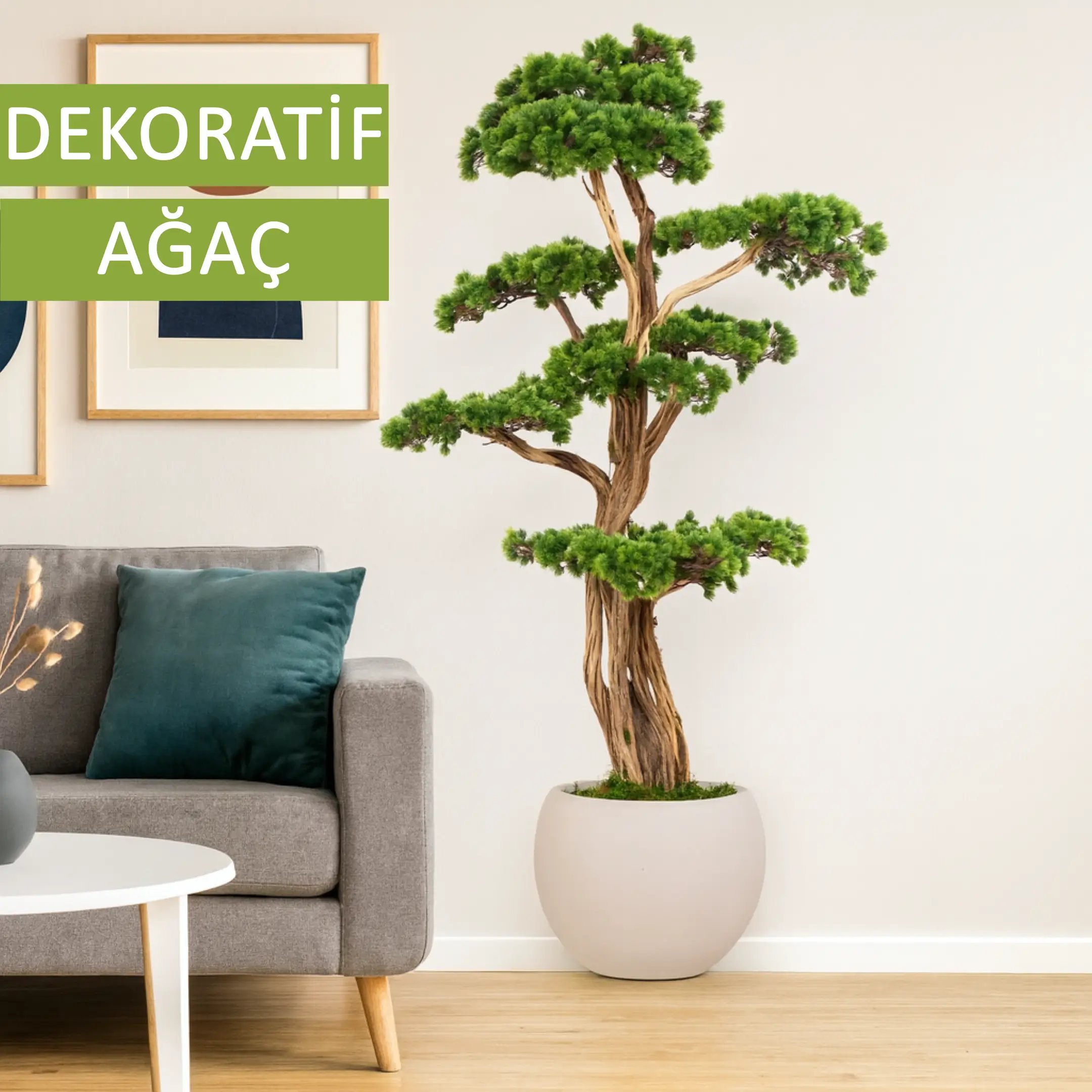 Dekoratif Ağaç