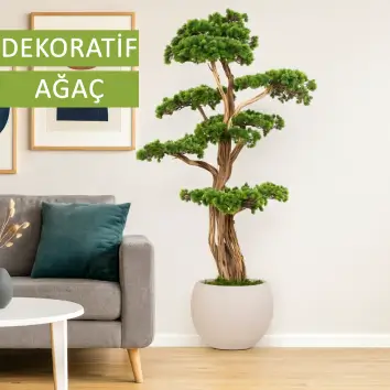 Dekoratif Ağaç